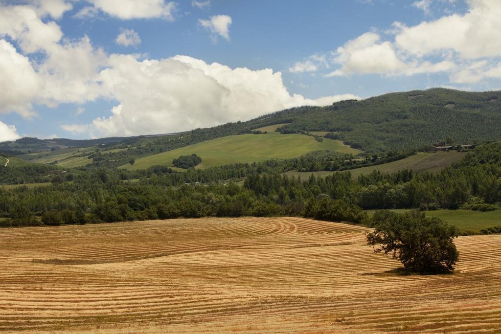 Agriturismo Piettorri Casole d'Elsa Bilik gambar